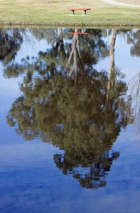 Inverted by mgjefferies via Flickr