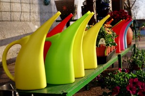 Watering Cans 2 by roxannejmitchell via Flickr